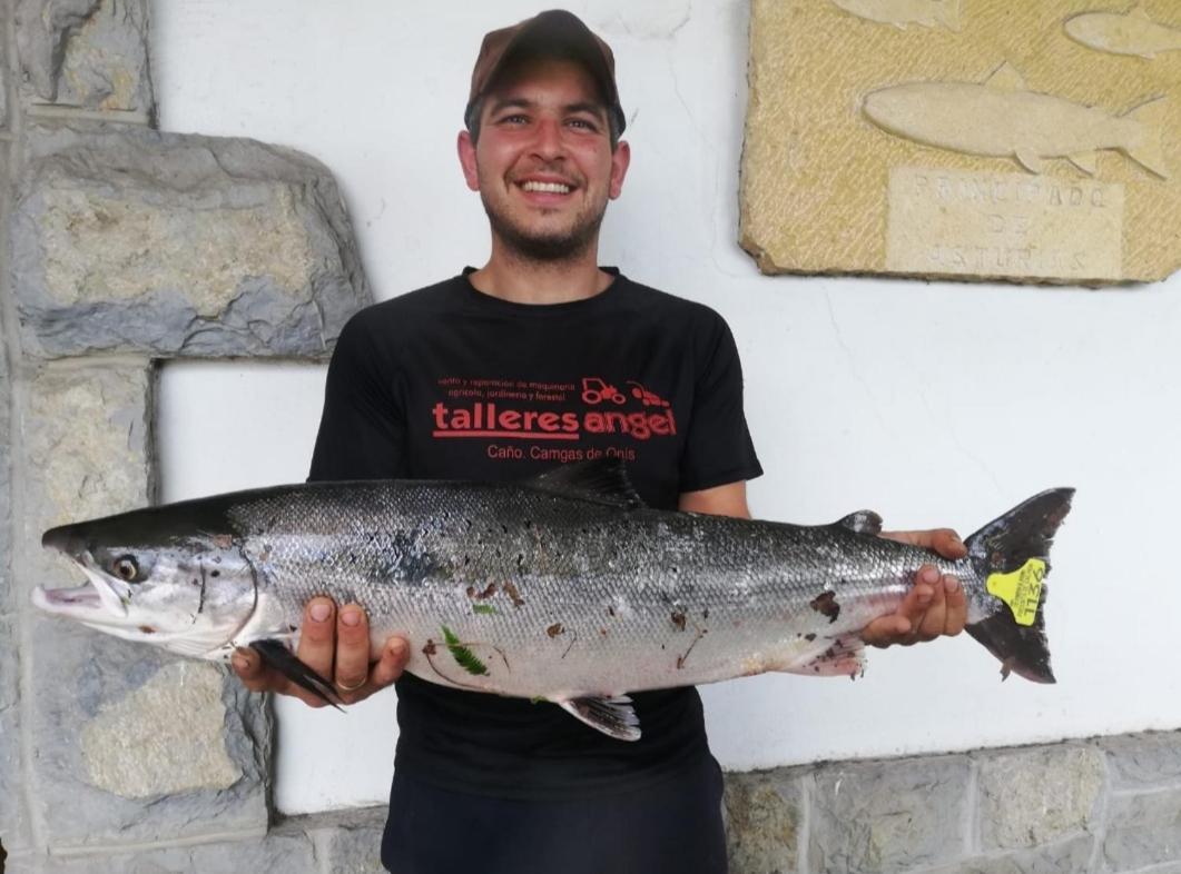 La Salmonera Cangas De Onis Caño Extérieur photo